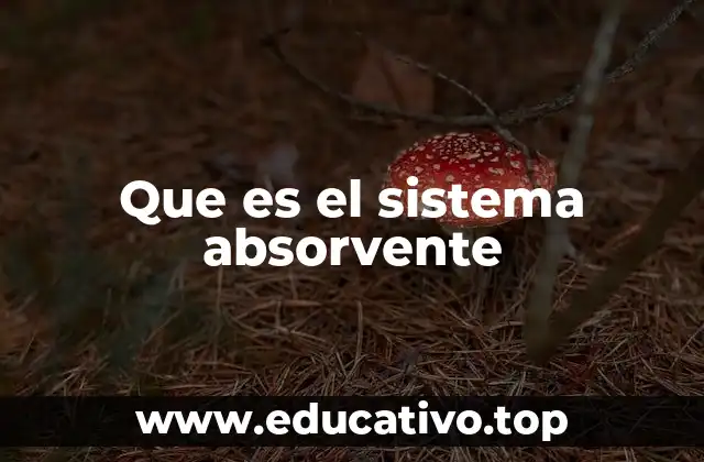 Que es el sistema absorvente