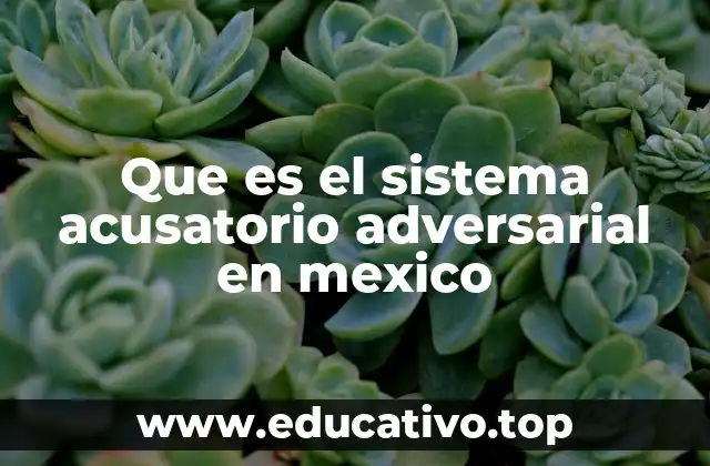 Que es el sistema acusatorio adversarial en mexico