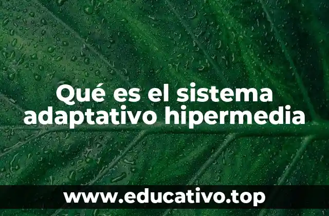 Qué es el sistema adaptativo hipermedia