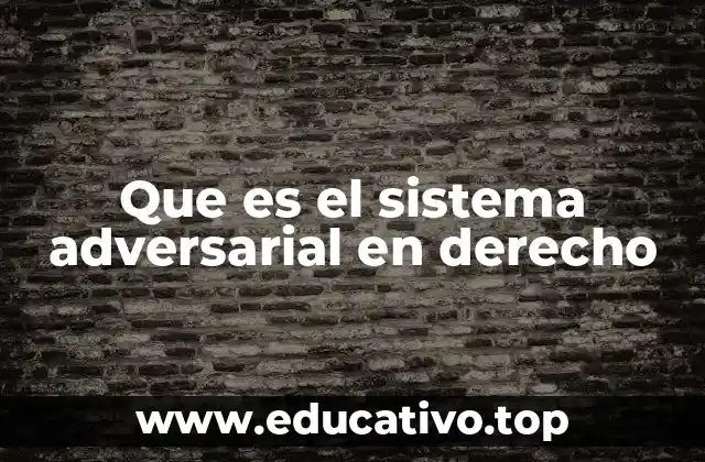 Que es el sistema adversarial en derecho