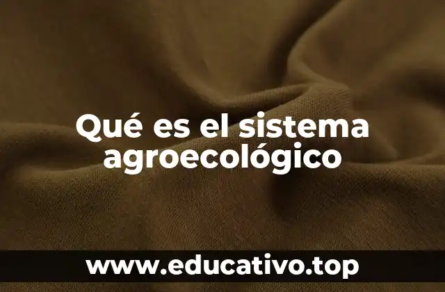 Qué es el sistema agroecológico