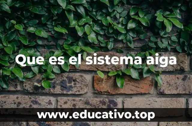 Que es el sistema aiga