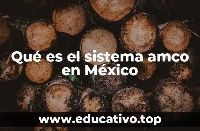Qué es el sistema amco en México