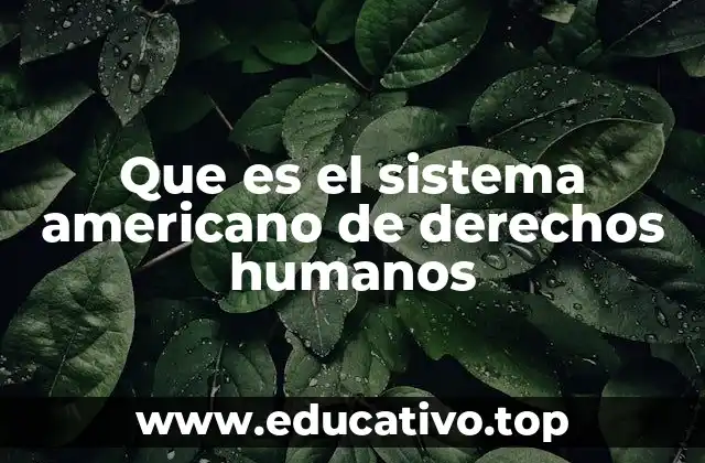 Los cimientos del sistema de protección de derechos en Estados Unidos