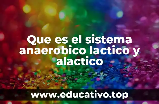 Que es el sistema anaerobico lactico y alactico