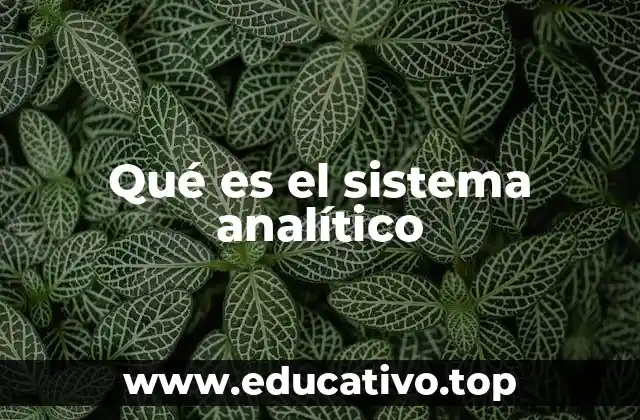 Qué es el sistema analítico