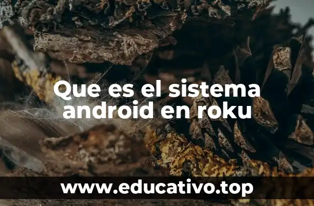 Que es el sistema android en roku