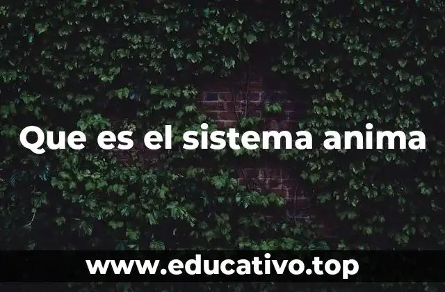 Que es el sistema anima