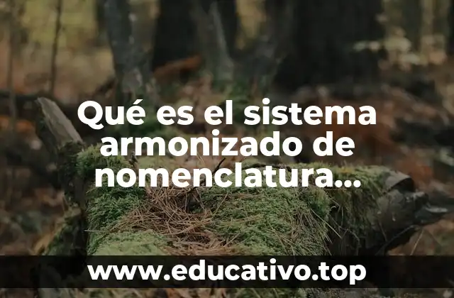 Qué es el sistema armonizado de nomenclatura arancelaria