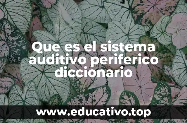 Que es el sistema auditivo periferico diccionario