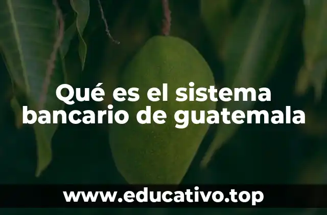 Qué es el sistema bancario de guatemala