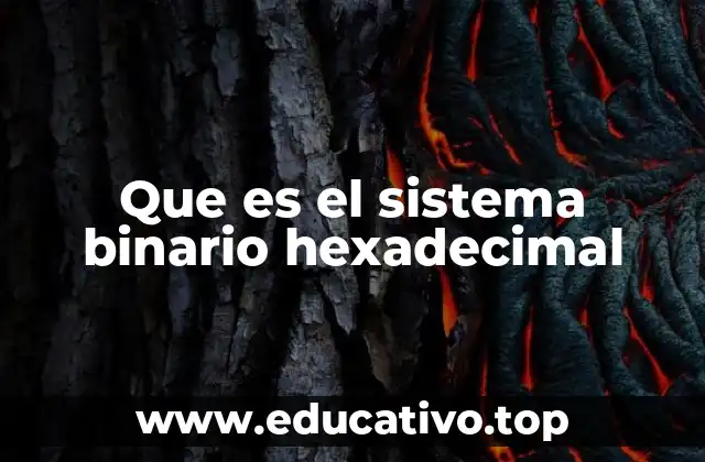 Que es el sistema binario hexadecimal