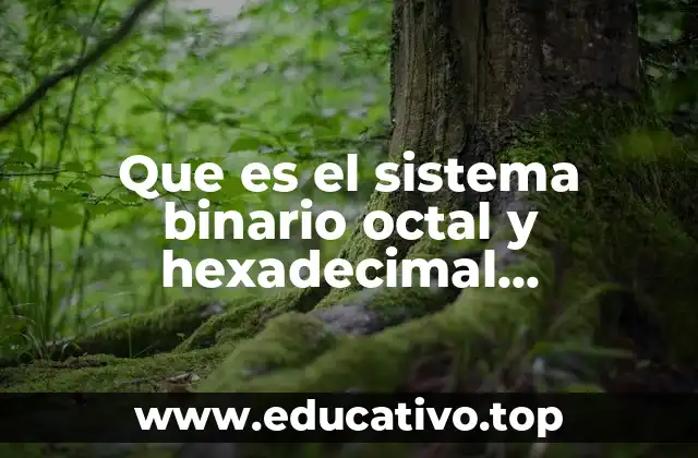 Que es el sistema binario octal y hexadecimal computacion