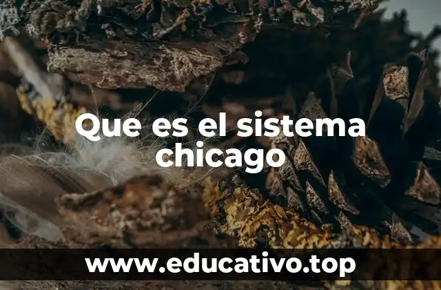 Que es el sistema chicago