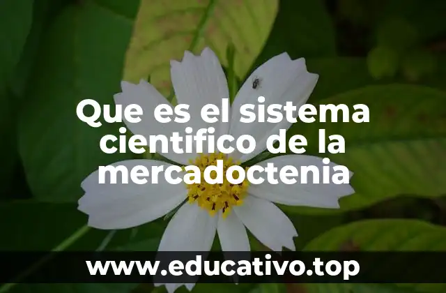 Que es el sistema cientifico de la mercadoctenia