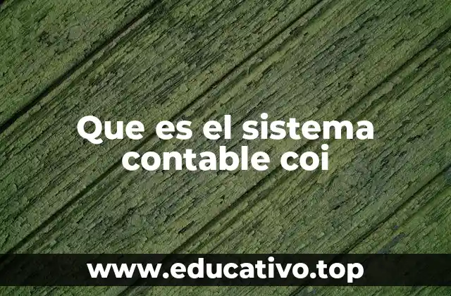 Que es el sistema contable coi