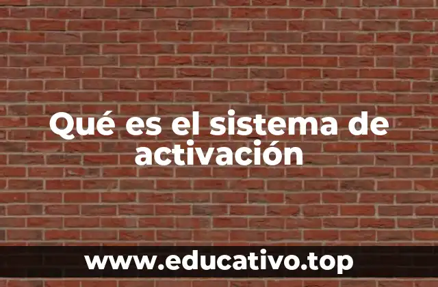 Qué es el sistema de activación