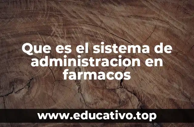 Métodos utilizados para introducir medicamentos en el cuerpo