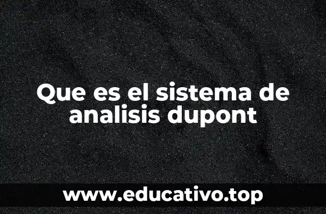 Que es el sistema de analisis dupont