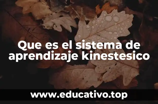 Que es el sistema de aprendizaje kinestesico