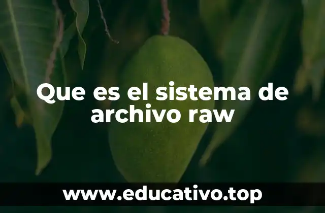 Que es el sistema de archivo raw