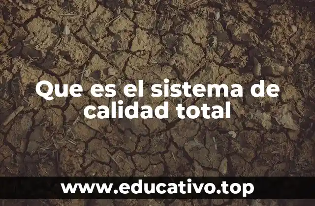 Que es el sistema de calidad total