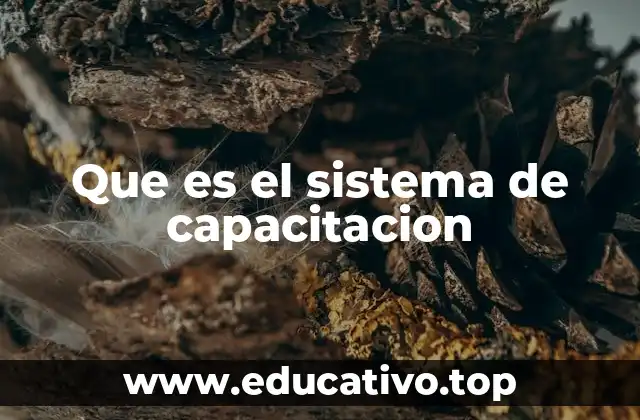 El papel del sistema de capacitación en el desarrollo organizacional