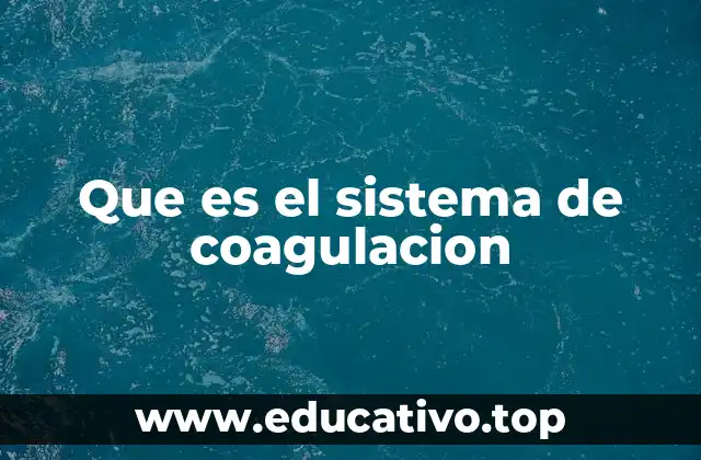 Que es el sistema de coagulacion