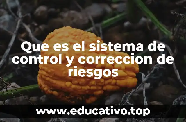 Que es el sistema de control y correccion de riesgos