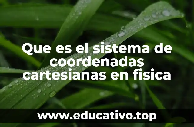 Que es el sistema de coordenadas cartesianas en fisica