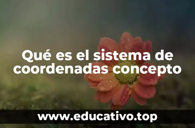 Qué es el sistema de coordenadas concepto