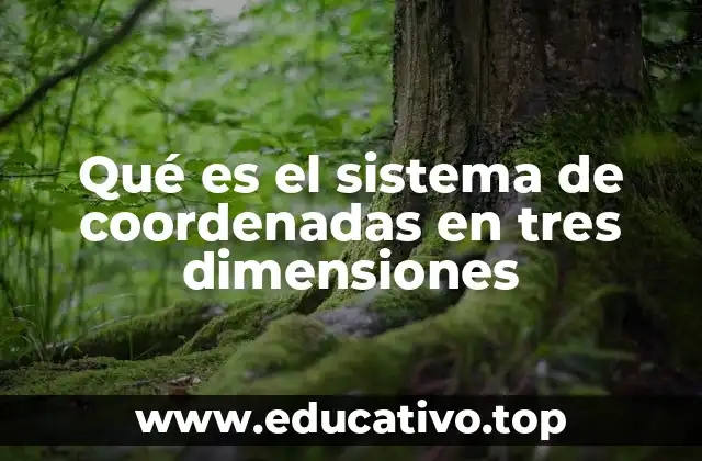 Qué es el sistema de coordenadas en tres dimensiones