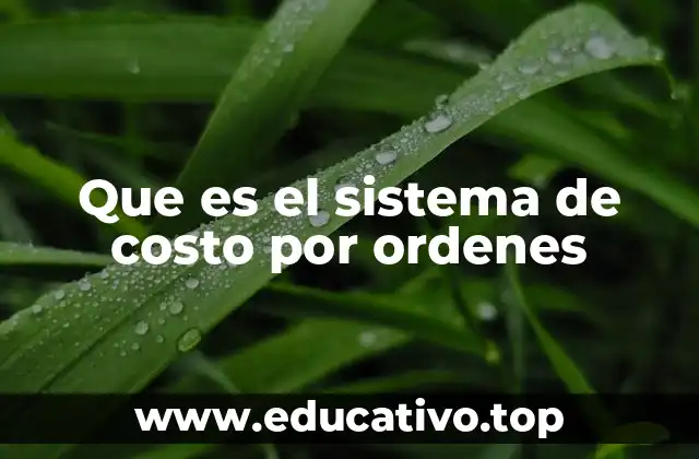 Que es el sistema de costo por ordenes