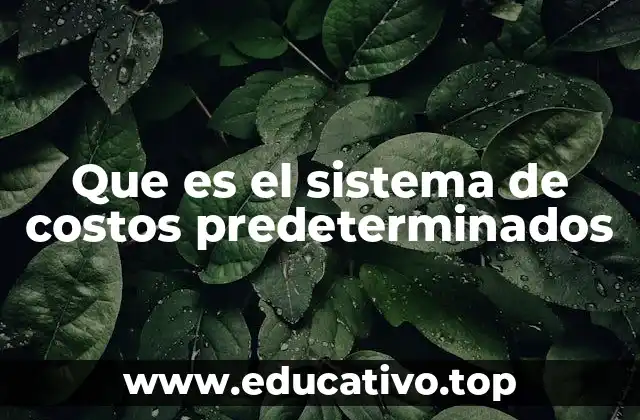 Que es el sistema de costos predeterminados