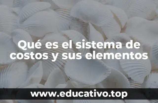 Qué es el sistema de costos y sus elementos