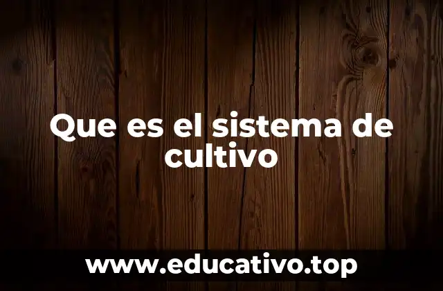 Que es el sistema de cultivo