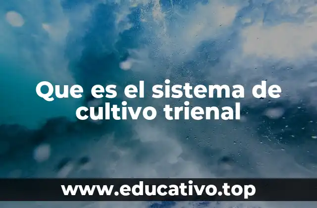 Que es el sistema de cultivo trienal