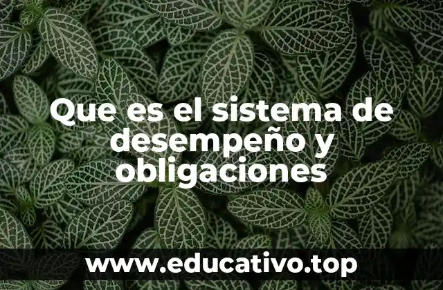 Que es el sistema de desempeño y obligaciones