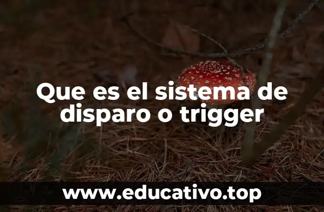 Que es el sistema de disparo o trigger