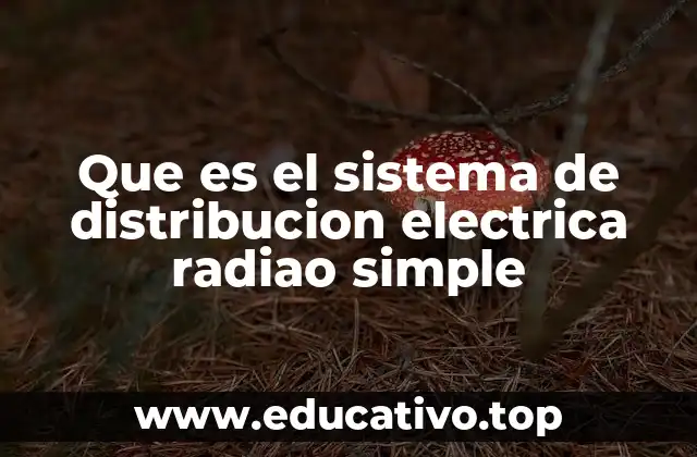 Características principales del sistema radial en redes eléctricas