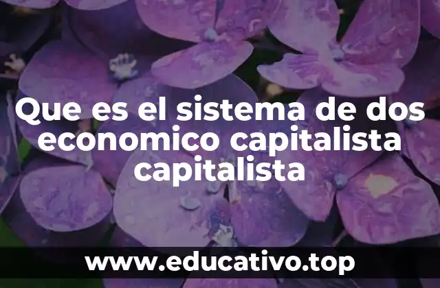 Que es el sistema de dos economico capitalista capitalista