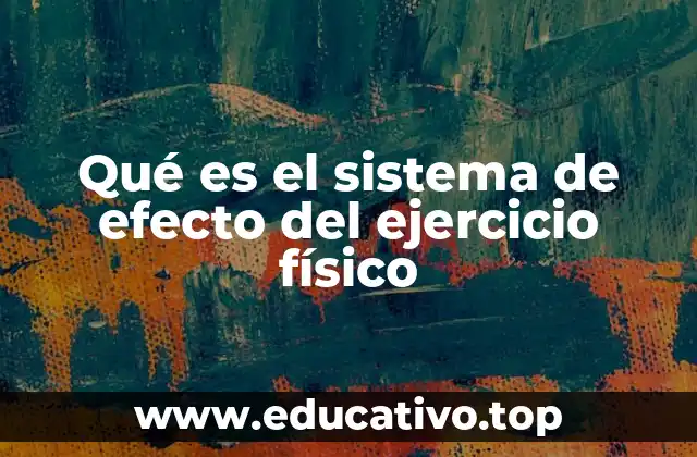 Qué es el sistema de efecto del ejercicio físico