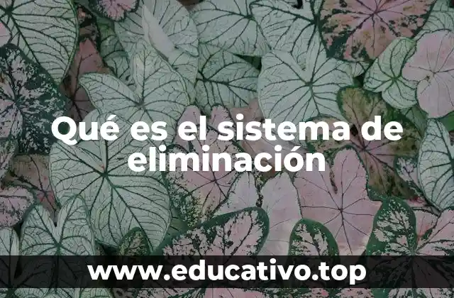 Qué es el sistema de eliminación