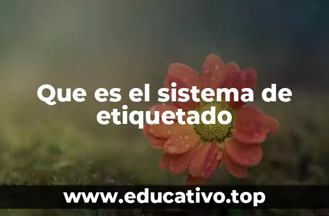 Que es el sistema de etiquetado