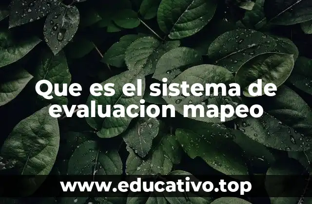 Que es el sistema de evaluacion mapeo