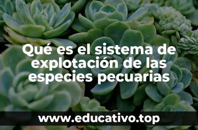 Qué es el sistema de explotación de las especies pecuarias