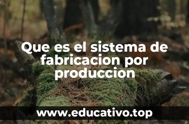 Que es el sistema de fabricacion por produccion