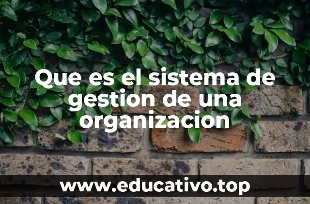 Que es el sistema de gestion de una organizacion