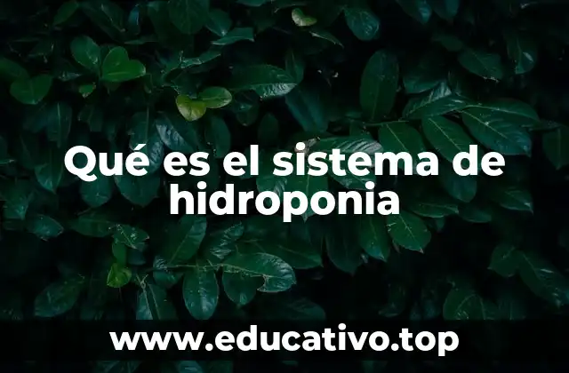 Qué es el sistema de hidroponia