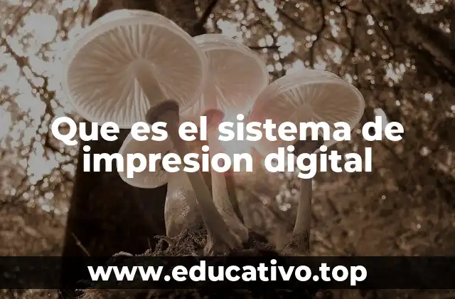 Que es el sistema de impresion digital